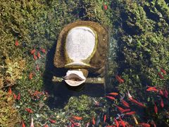 -水磨沟公园