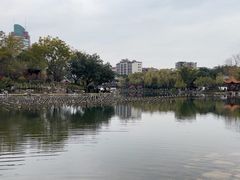 -北湖公园