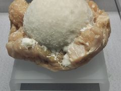 -湖南省地质博物馆