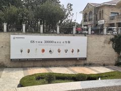 -青岛贝壳博物馆