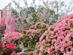 -南山植物园