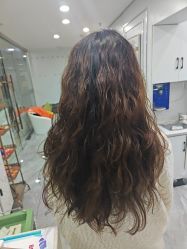 -镁连社·美联社