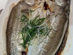 -茉莉餐厅(包河万达店)