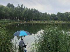-北坞公园