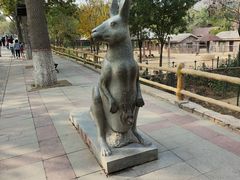 -石家庄市动物园