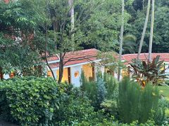 -鼓浪屿钢琴博物馆