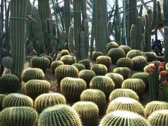 -南山植物园