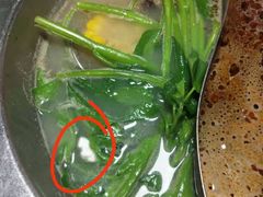 -傣妹火锅(荔湾广场店)