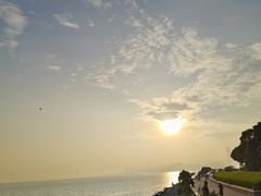 -深圳湾公园(南山区)