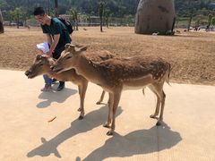 -大青山野生动物园