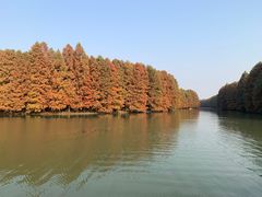 -上海海湾国家森林公园