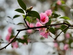 -城隍阁