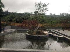 -雨花胜境