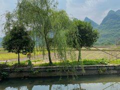 -村上春树