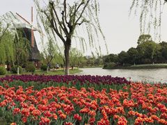 -上海鲜花港