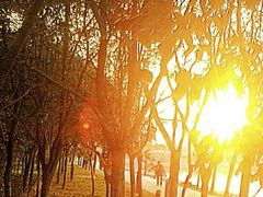 -德克士(北大街店)