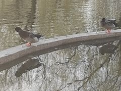 -丰台花园