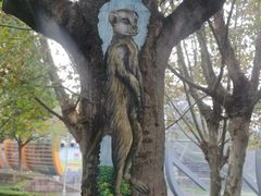 -白塘生态植物园