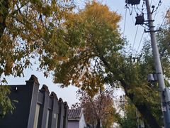-北京河北迎宾馆