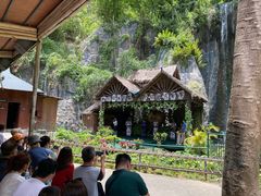 -西双版纳原始森林公园