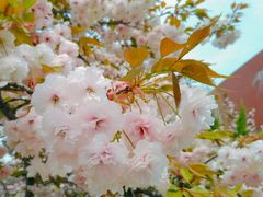 -山东大学(软件园校区)