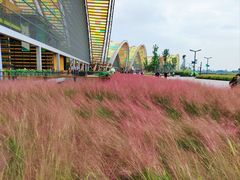 -中国天府农业博览园