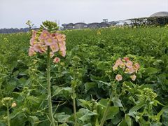 -中国天府农业博览园