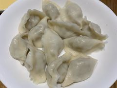 茴香猪肉水饺-东方饺子王(新奥购物中心店)