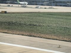 -石家庄正定国际机场-T2航站楼
