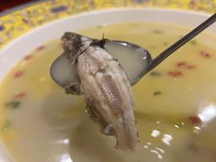 黄辣丁汤-老宋家鱼馆(北滨路店)