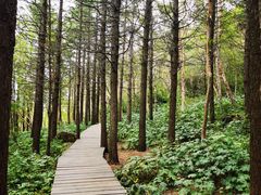 -白草畔自然风景区