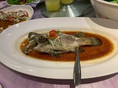 -宝燕壹号(徐汇店)
