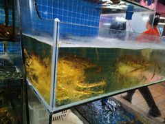 -范饭椰林川湘味海鲜·椰子鸡(三亚湾椰梦长廊店)