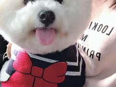 -芭比堂动物医院广州顽皮分院