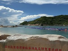 -东澳岛