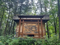 -五营国家森林公园
