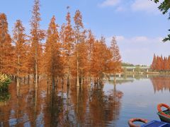 -白鹭湾湿地公园