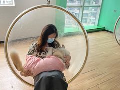 -Husky Go! 哈士奇体验馆·宠物咖啡厅狗咖