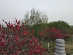 -西安浐灞国家湿地公园