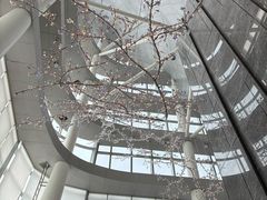 -南宁那莲豪华精选酒店-云霄酒廊·80楼高空城景酒吧