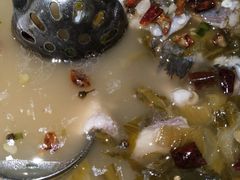 -张记旺角食街(动物园店)