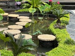 -深圳仙湖植物园