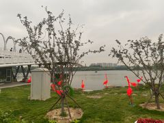 -大兴滨河森林公园