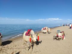 -青海湖国家重点风景名胜区