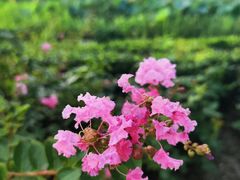 -陶然亭公园