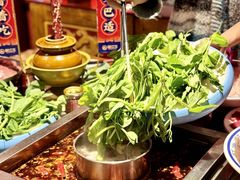 -蜀江龙火锅(339店)