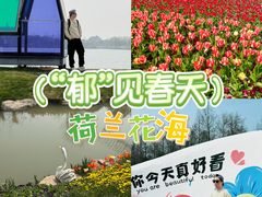 -荷兰花海
