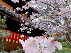 -龙华寺