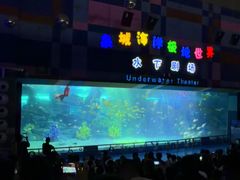 -泉城欧乐堡海洋极地世界