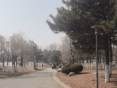 -莫子山公园
